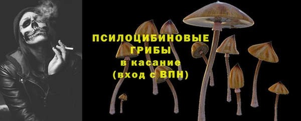 сатива Алзамай
