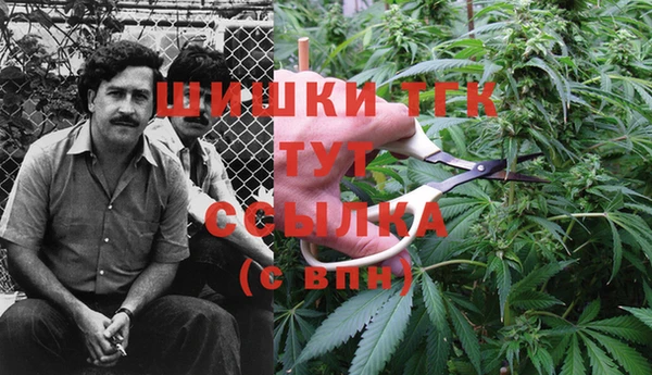 метамфетамин Алексеевка