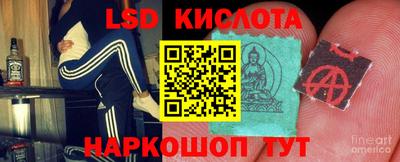 скорость Бердск