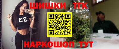 скорость Бердск