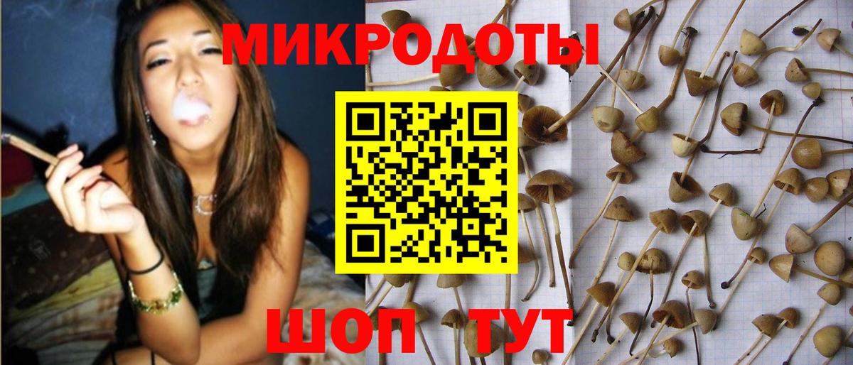 Галлюциногенные грибы MAGIC MUSHROOMS Карабулак
