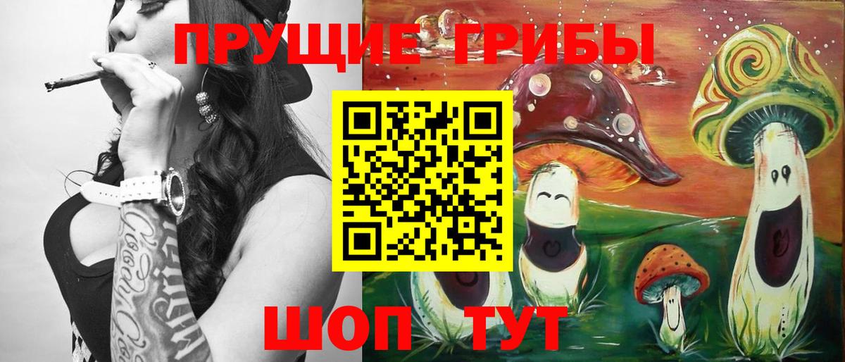 Карабулак  Псилоцибиновые грибы ЛСД  Вход с VPN 