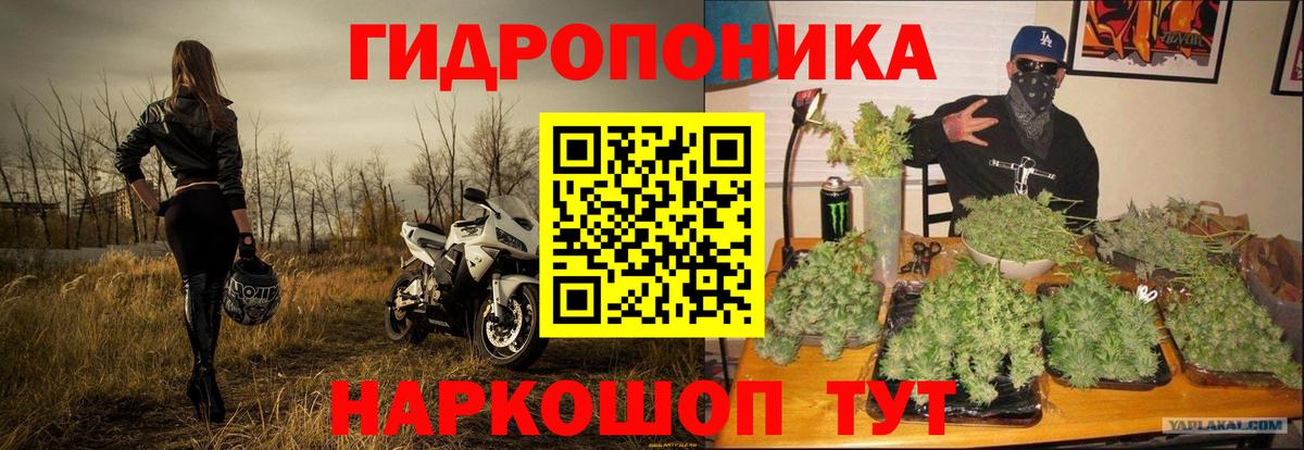 МАРИХУАНА тримм Карабулак